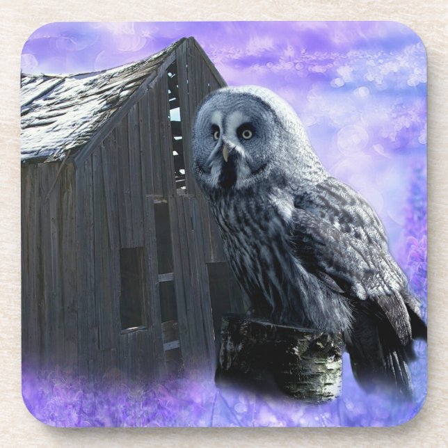 Owl Barn Shed Getränkeuntersetzer (Vorderseite)