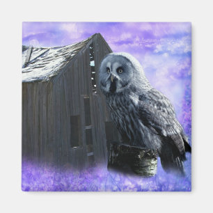 Owl Barn Shed Magnet