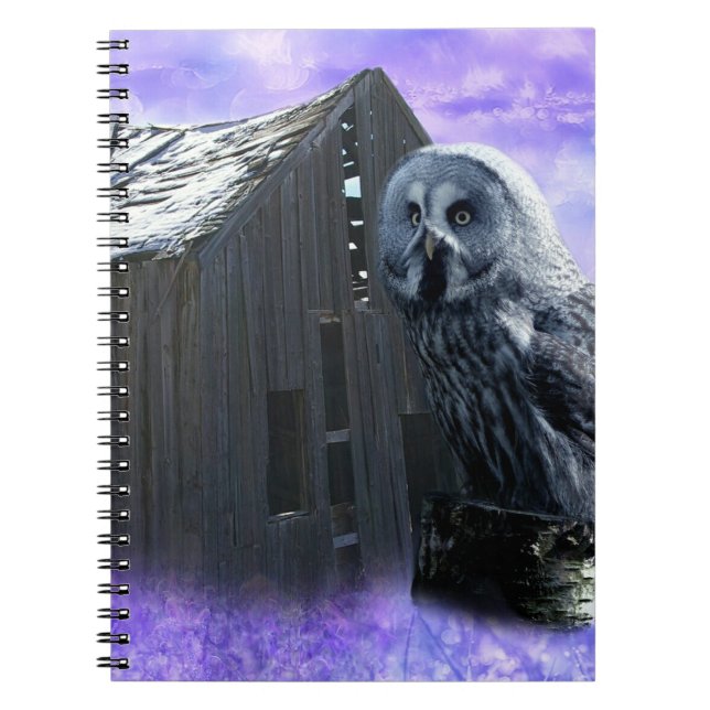 Owl Barn Shed Notizblock (Vorderseite)