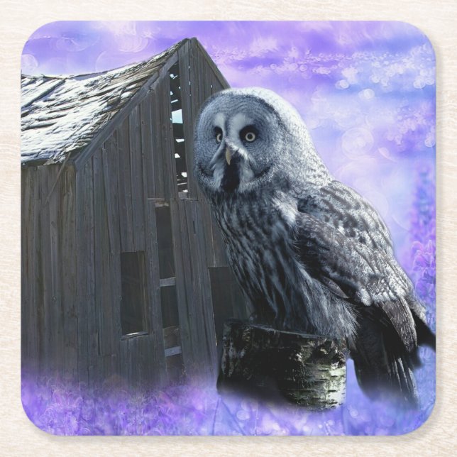 Owl Barn Shed Rechteckiger Pappuntersetzer (Vorderseite)