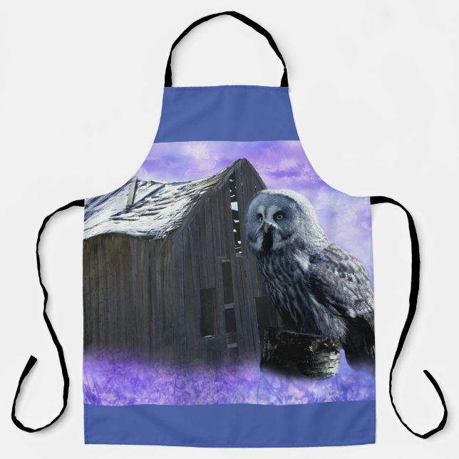 Owl Barn Shed Schürze (Vorderseite)