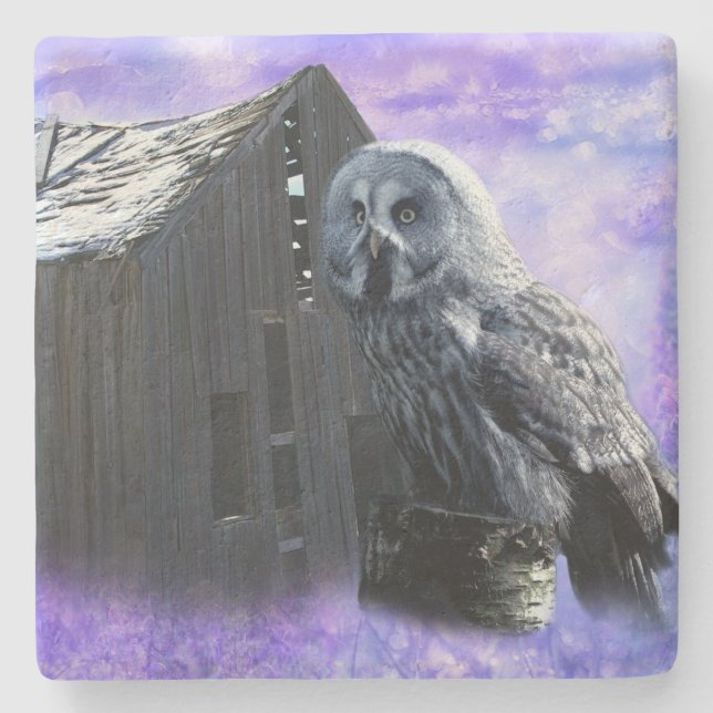 Owl Barn Shed Steinuntersetzer (Vorderseite)