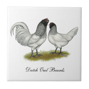Owl Beard Chickens Fliese