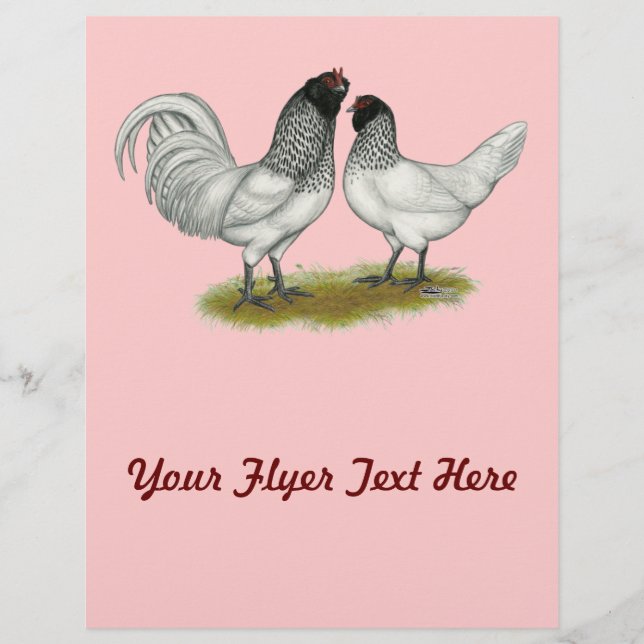 Owl Beard Chickens Flyer (Vorne)