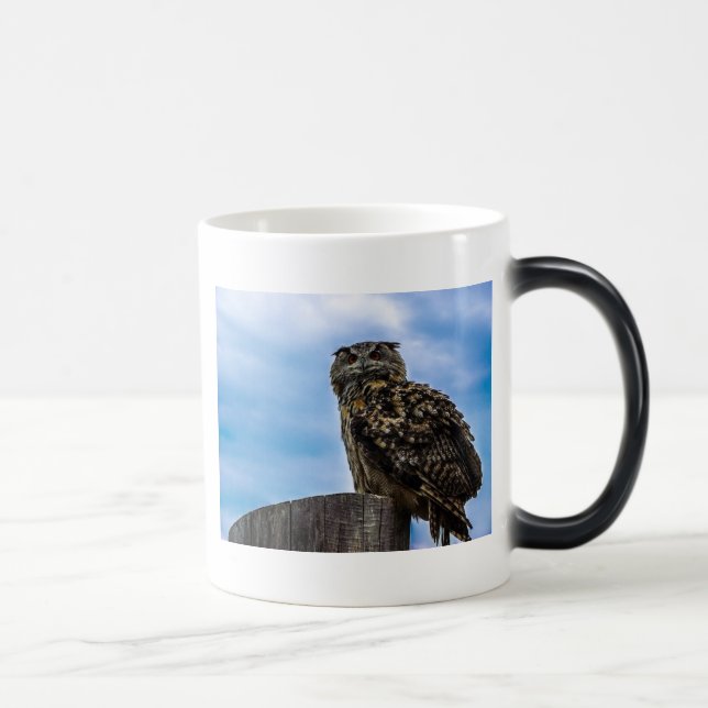 Owl Bird Feathers Animal Nature Destiny Peace Love Verwandlungstasse (Rechts)