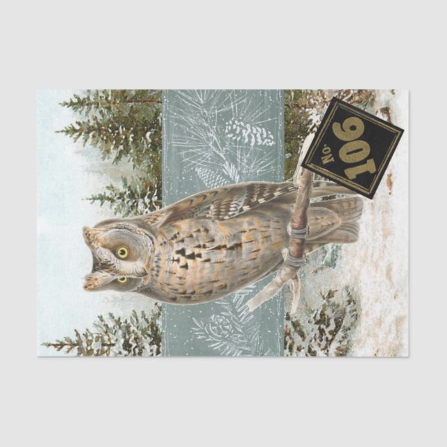 Owl Bird Snowforest Pinecone Zahl Decoupage Seidenpapier (Vorderseite)