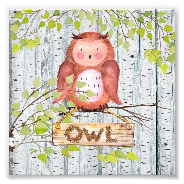 Owl Bird Woodland Friends Aquarellbilder Fotodruck (Vorne)