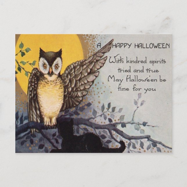 Owl Black Cat Full Moon Tree Night Postkarte (Vorderseite)