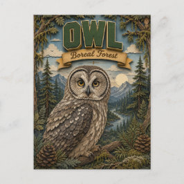 Owl Boreal Forest POPCUT Postkarte