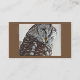 Owl Business Cards Visitenkarte