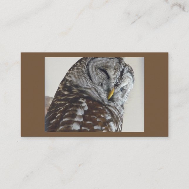 Owl Business Cards Visitenkarte (Vorderseite)