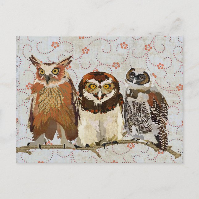 OWL DANS UNE Carte Postale LIGNE (Devant)