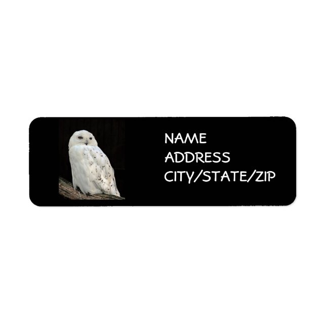 **OWL DE NEIGE** ÉTIQUETTES DE ADRESSE (Devant)