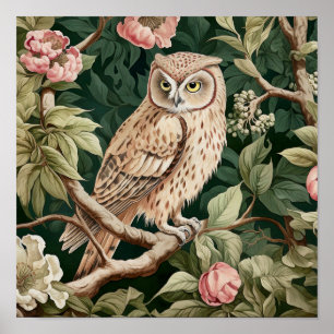 Owl Decorative Malerei Poster