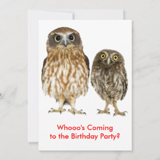 Owl Duo Zweittage-Party Einladung