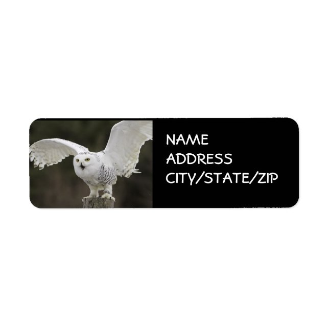 OWL EN ÉTIQUETTES DE ADRESSE DE VOL (Devant)