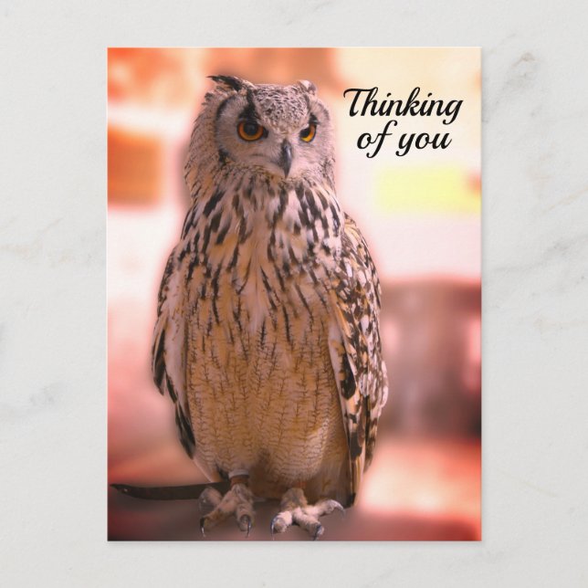 Owl Experience Somerset Denken Sie an Sie Postcard Postkarte (Vorderseite)