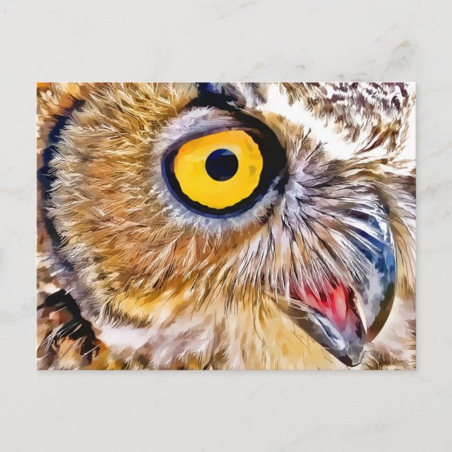 Owl Eye Postkarte (Vorderseite)