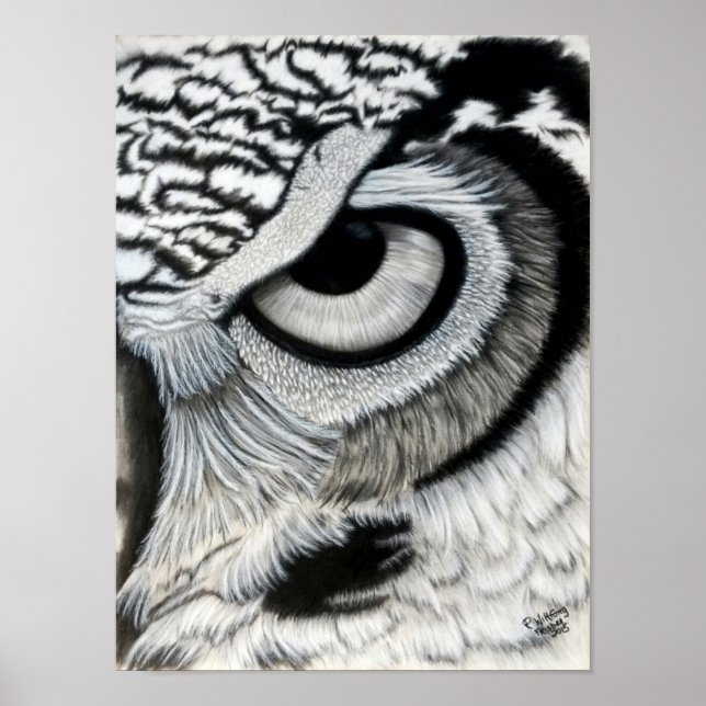Owl eye (right) poster (Vorne)