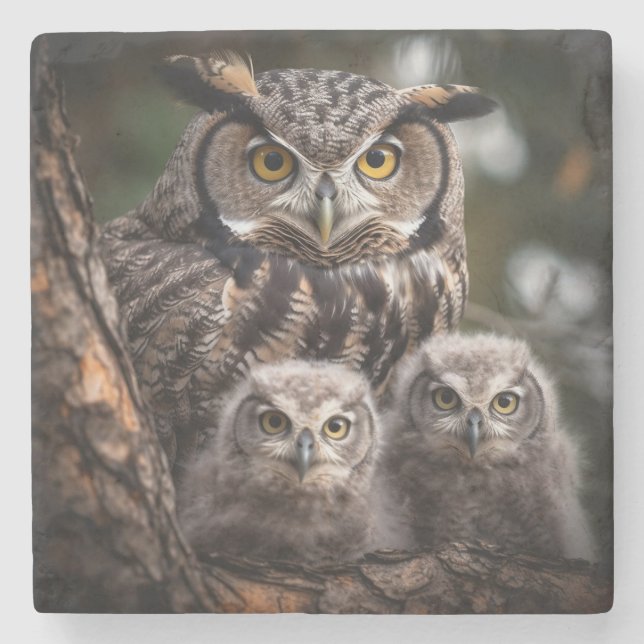 Owl Family Stone Untersetzer (Vorderseite)
