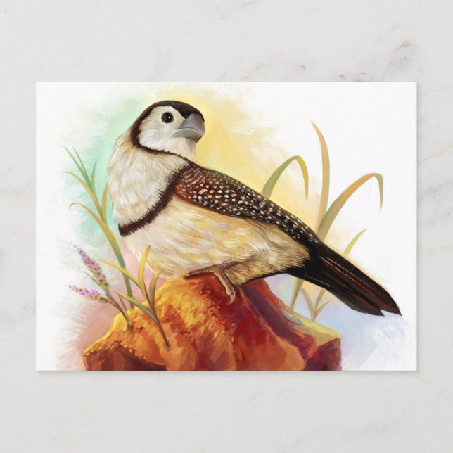 Owl Finches realistische Malerei Postkarte (Vorderseite)