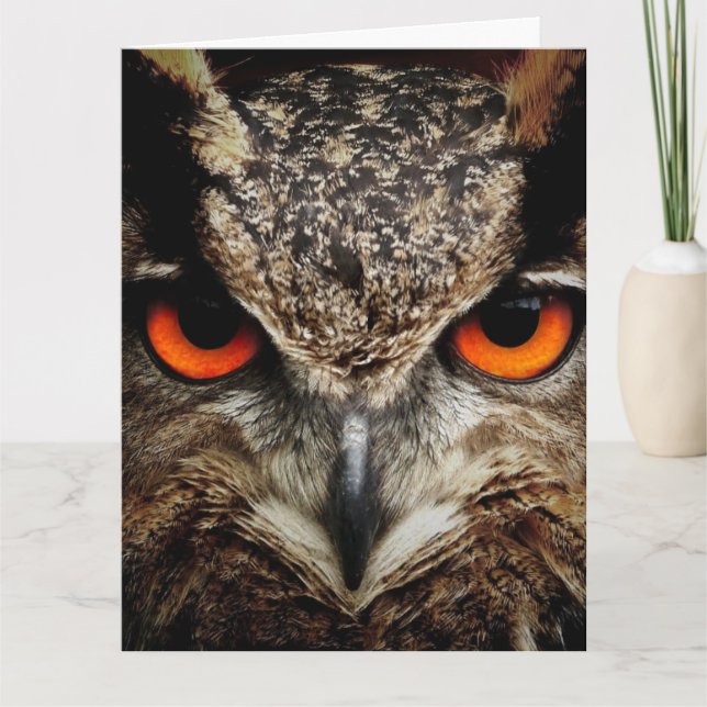 OWL Fotografy Oversified BIRTHDAY CARD Karte (Vorderseite)