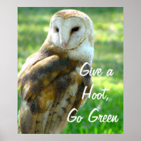 Owl Give A Hoot