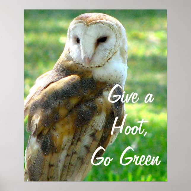 Owl Give A Hoot Poster (Vorne)