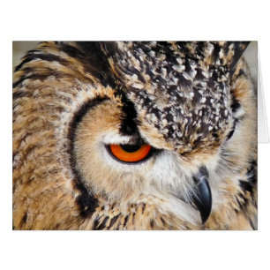 OWL GREETING CARD