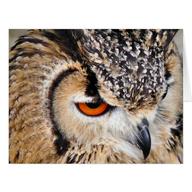 OWL GREETING CARD (Vorderseite (Horizontal))