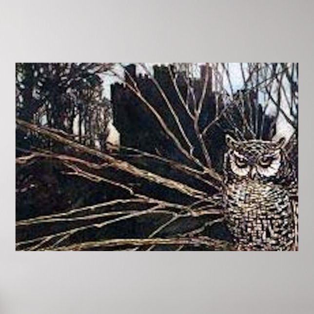 Owl Halloween Creepy Poster (Devant)