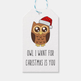 Owl ich zu Weihnachten Gewollt ist Sie - Niedliche Geschenkanhänger