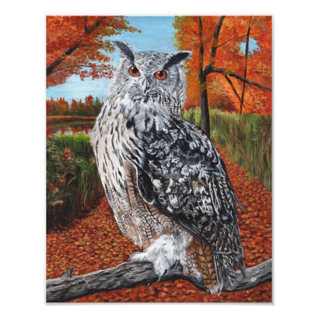 Owl in Autumn Forest Fine Art  Fotodruck (Vorne)