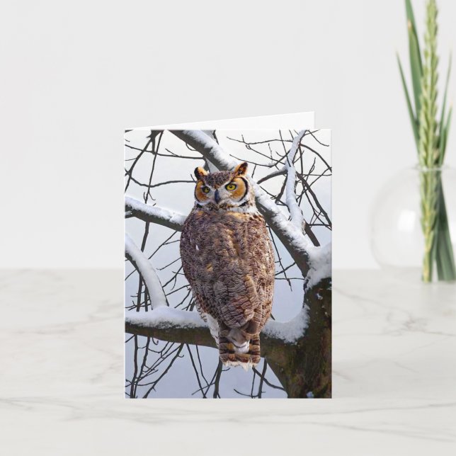 "Owl in Winter" Note Card (Vorderseite)