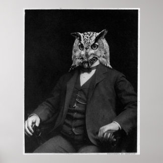 Owl Inventar Poster