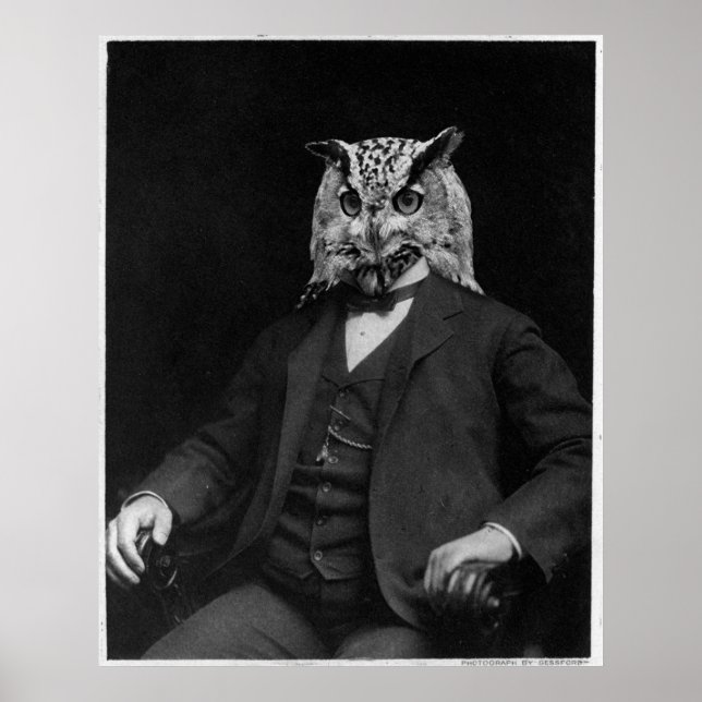 Owl Inventar Poster (Vorne)