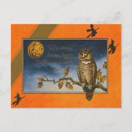 Owl Jack O Lantern Pumpkin Postkarte
