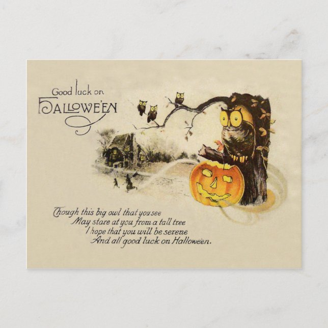 Owl Jack O' Lantern Pumpkin Tree Postkarte (Vorderseite)