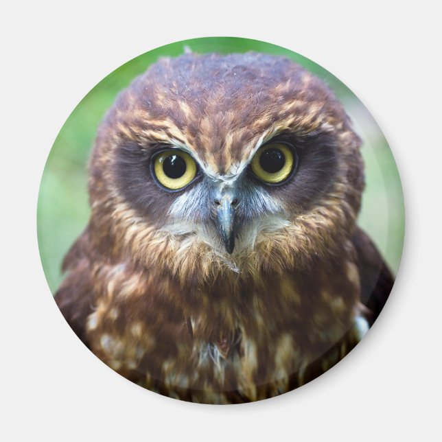 Owl Magnet (Vorne)