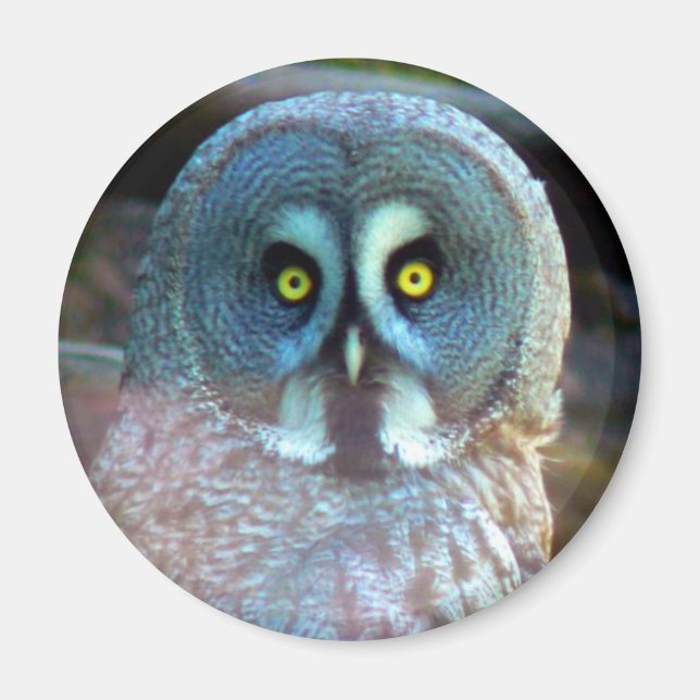 Owl Magnet (Vorne)