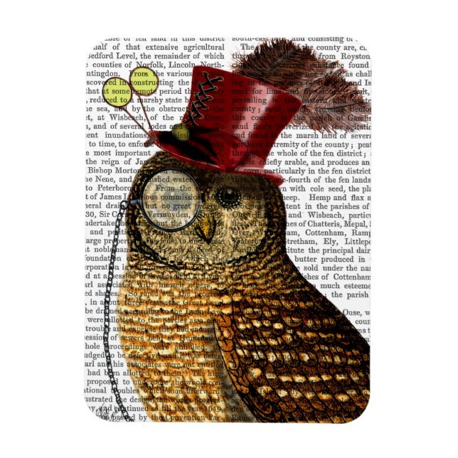 Owl mit Top Hat 3 Magnet (Vertikal)