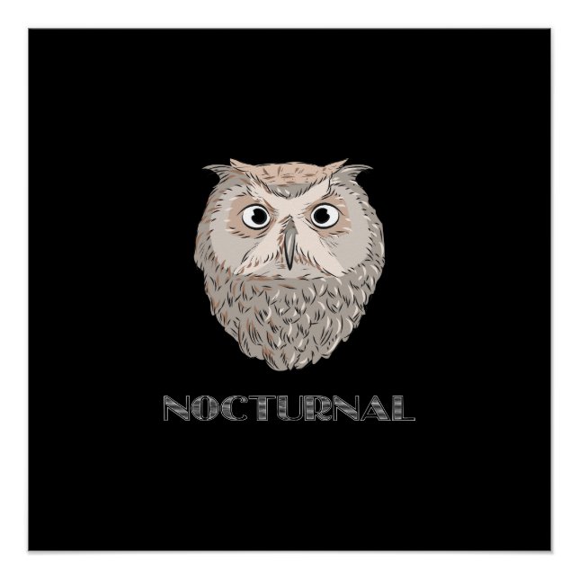 Owl Nocturnal Illustration Poster (Vorderseite)
