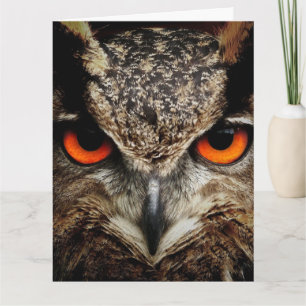 OWL Photographie Carte d'anniversaire surdimension