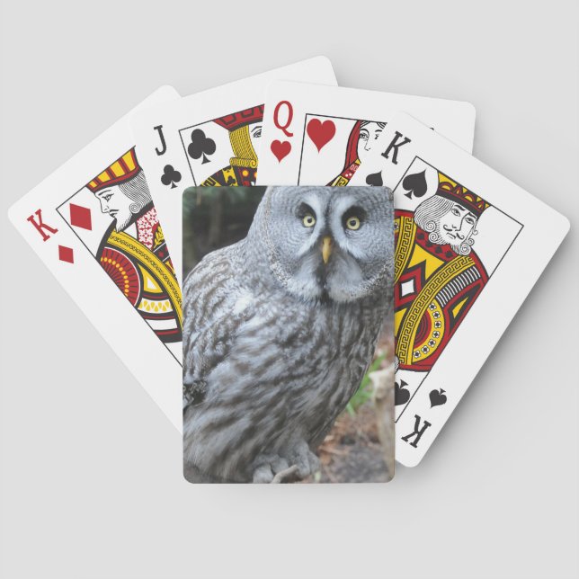 Owl Portrait Photograph Spielkarten (Rückseite)