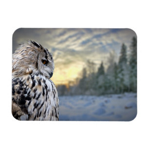 Owl-Portrait über den Winterwaldhintergrund Magnet