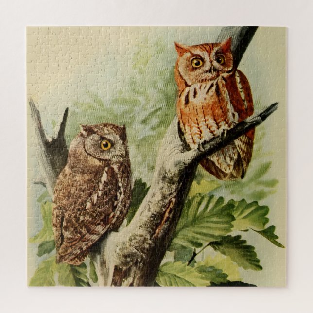 Owl Print Wall Art (Vertikal)