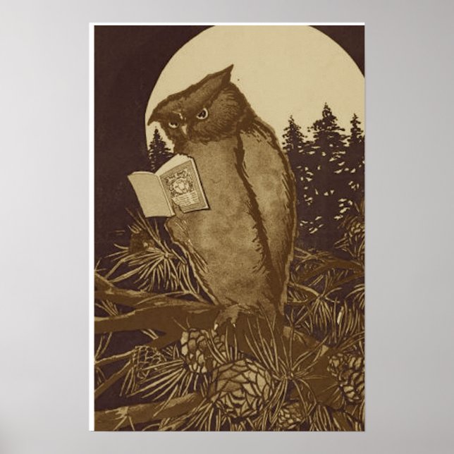 Owl Reading a book of Moonlight Poster (Vorne)