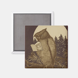 Owl Reading by Moonlight Magnet