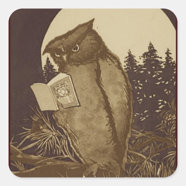 Owl Reading by Moonlight Quadratischer Aufkleber (Vorderseite)