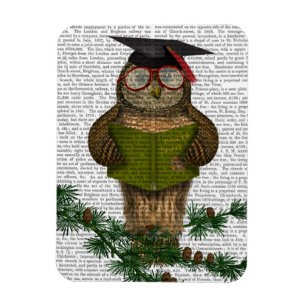Owl Reading on Branch Magnet